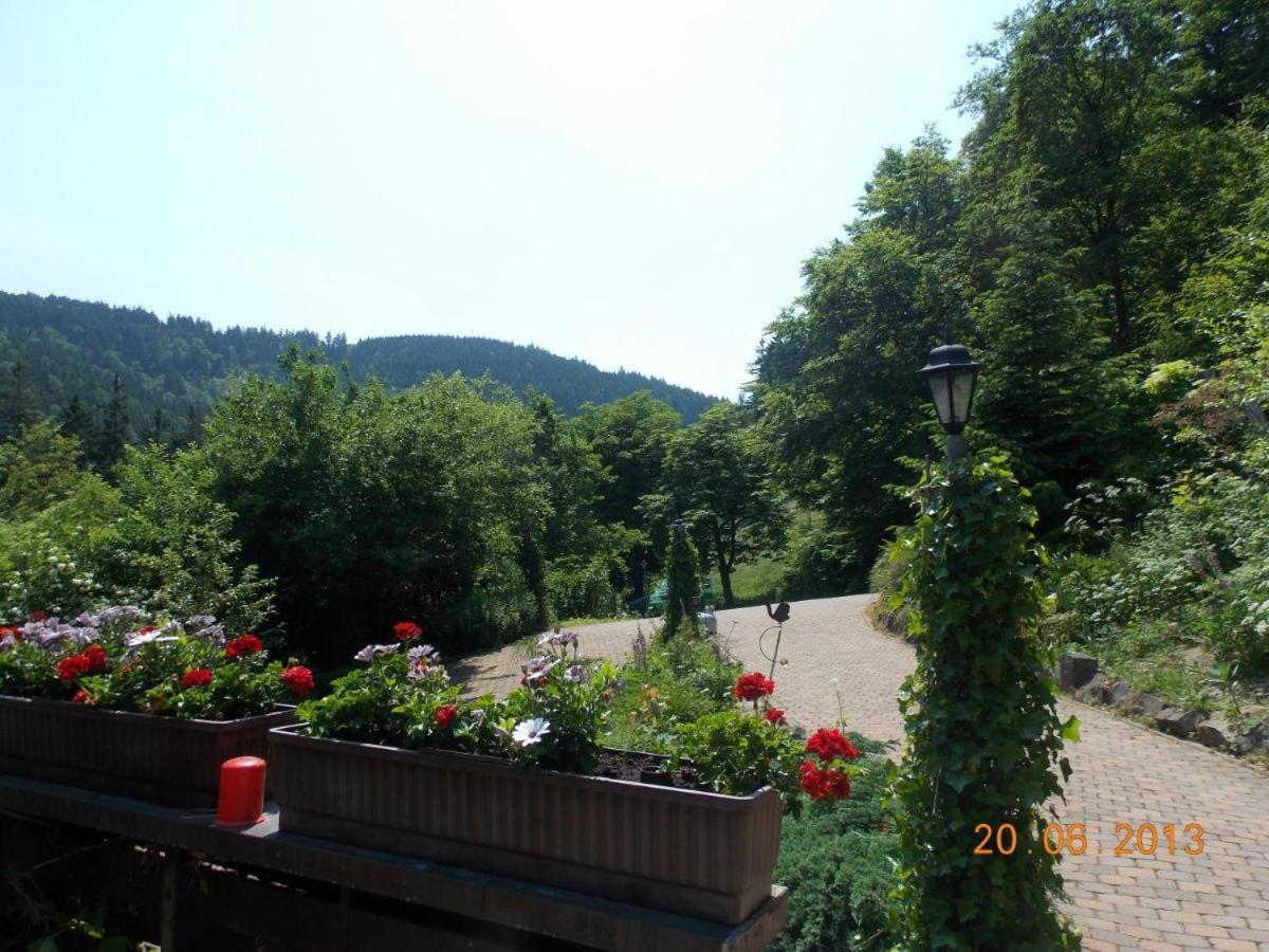 Gaestezimmer Haus Talblick Lautenthal Luaran gambar